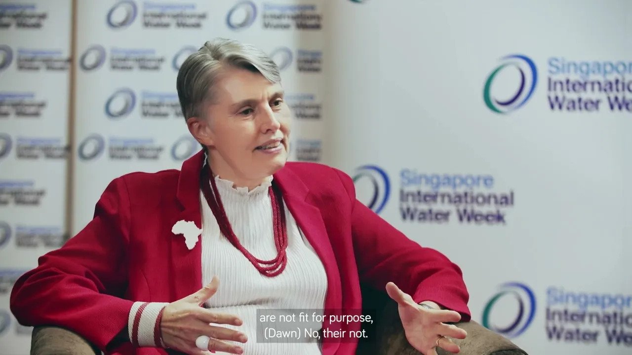 SIWW2022 Water Leaders Interview Series: Interview with Dr Debra Roberts